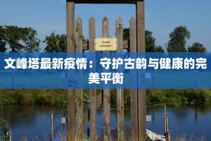 济宁疫情最新进展：梁山地区守护健康新篇章