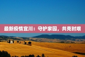 最新疫情宜川：守护家园，共克时艰
