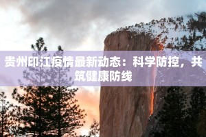 最新美媒揭阳疫情防控