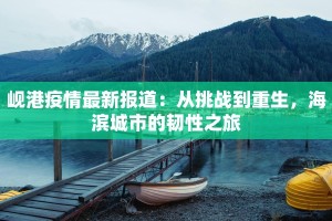 岘港疫情最新报道：从挑战到重生，海滨城市的韧性之旅