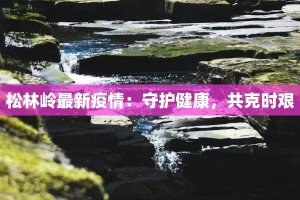 松林岭最新疫情：守护健康，共克时艰