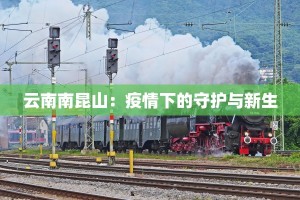 云南南昆山：疫情下的守护与新生