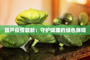 葫芦疫情最新：守护健康的绿色屏障