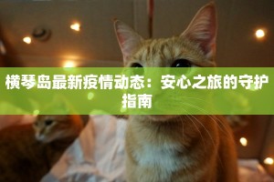横琴岛最新疫情动态：安心之旅的守护指南