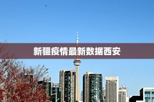 新疆疫情最新数据西安