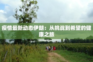 疫情最新动态伊朗：从挑战到希望的健康之旅