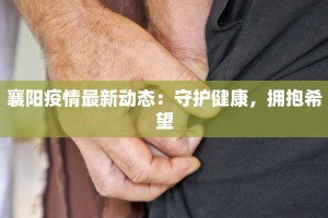 襄阳疫情最新动态：守护健康，拥抱希望