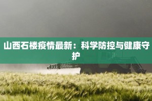 山西石楼疫情最新：科学防控与健康守护