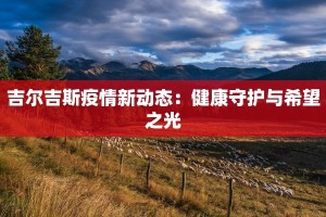 吉尔吉斯疫情新动态：健康守护与希望之光