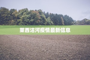 金码酒店最新疫情应对指南：安心入住，健康之旅