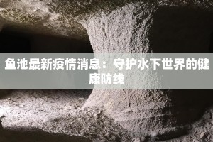 新乡卫辉疫情最新通知