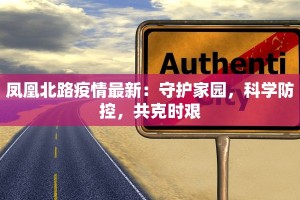 凤凰北路疫情最新：守护家园，科学防控，共克时艰