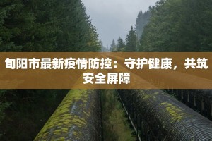 疫情快递最新报告