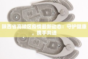 陕西省高陵区疫情最新动态：守护健康，携手共进
