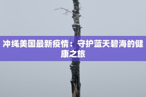 通报内蒙古疫情最新