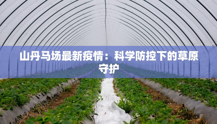 宁明疫情最新通