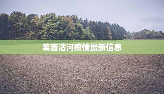 金码酒店最新疫情应对指南:安心入住,健康之旅 金码酒店最新疫情应对指南:安心入住,健康之旅