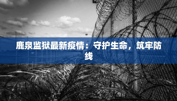鹿泉监狱最新疫情：守护生命，筑牢防线