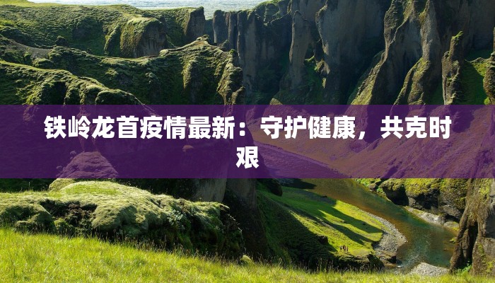 铁岭龙首疫情最新：守护健康，共克时艰