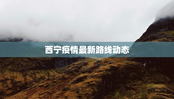 西流湖畔的疫情守护：科学防控与健康生活新篇章