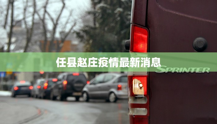 任县赵庄疫情最新消息