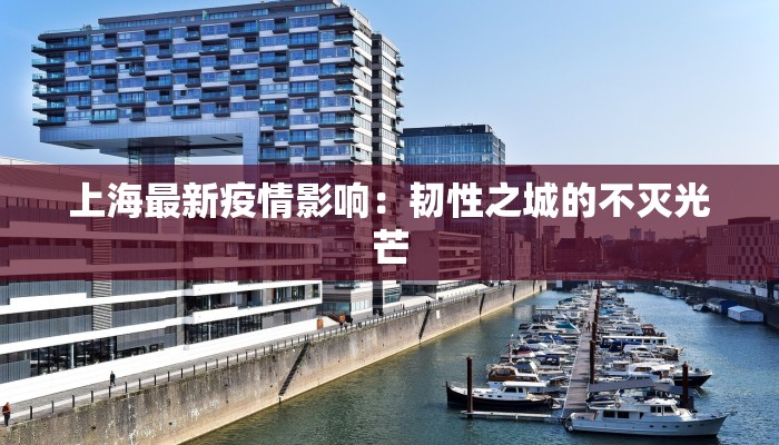 上海最新疫情影响：韧性之城的不灭光芒