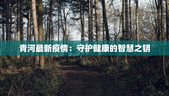 青河最新疫情：守护健康的智慧之钥