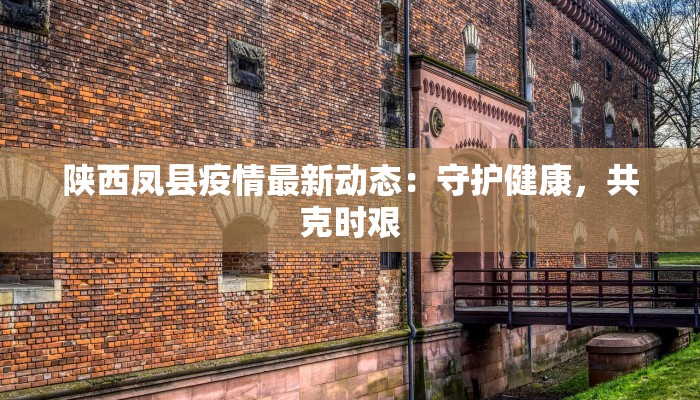 陕西凤县疫情最新动态：守护健康，共克时艰