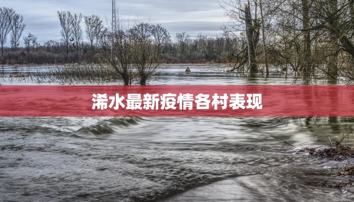 浠水最新疫情各村表现