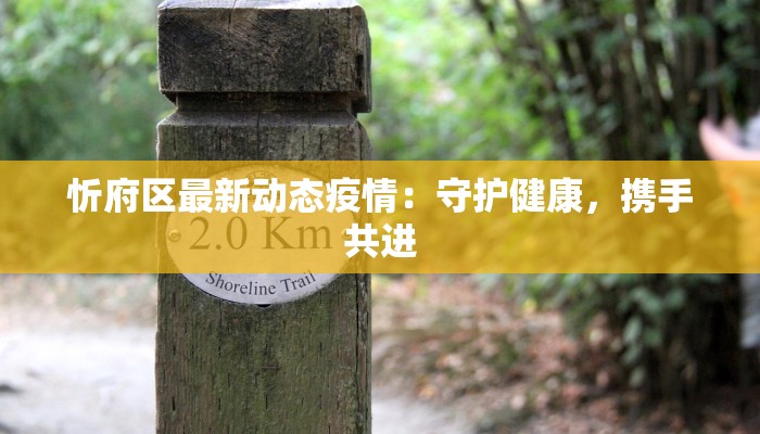 忻府区最新动态疫情:守护健康,携手共进 忻府区最新动态疫情:守护健康,携手共进