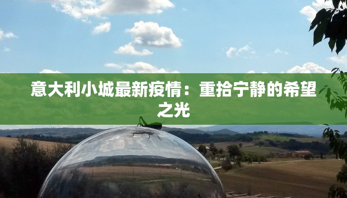 最新上海疫情源头揭秘:真相与启示 最新上海疫情源头揭秘:真相与启示